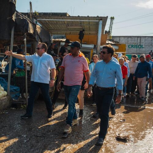 Fimerca_Paliza_Camilo